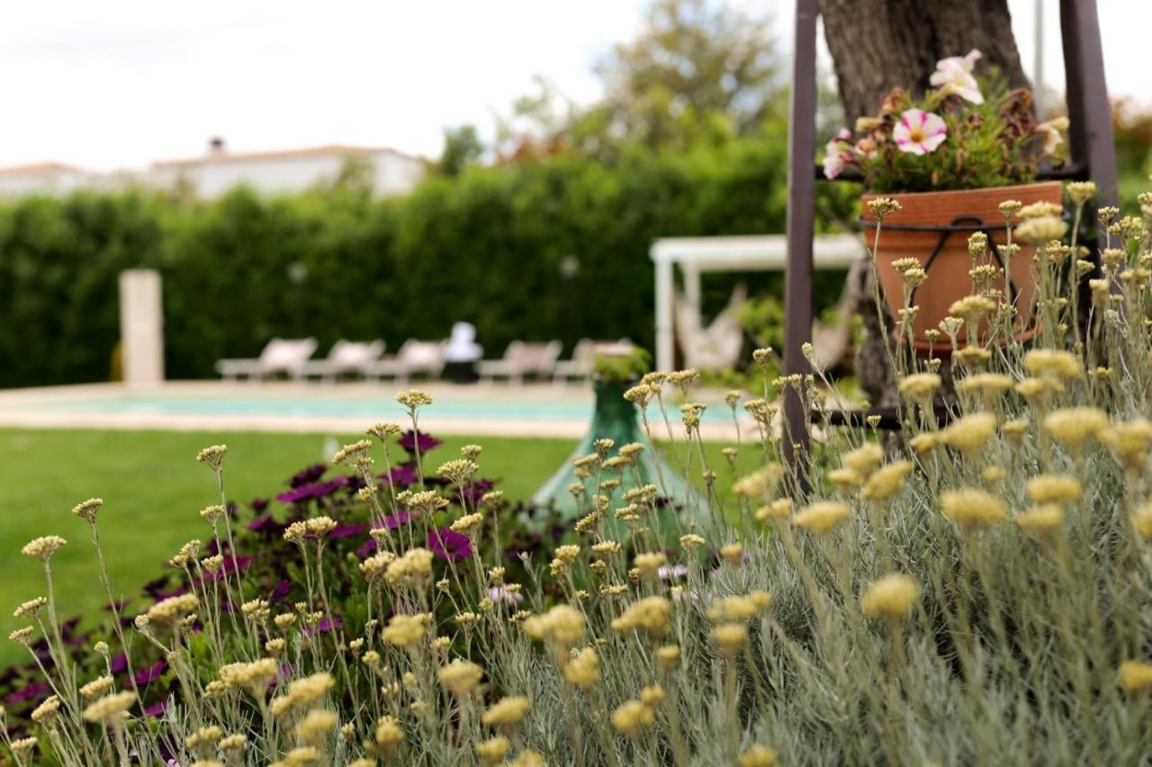Trullo Rinaldi - Private Pool And Sauna كاستيلانا غروتي المظهر الخارجي الصورة